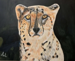 Cheeta